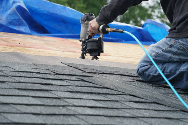 Best Roof Gutter Cleaning  in Bensley, VA