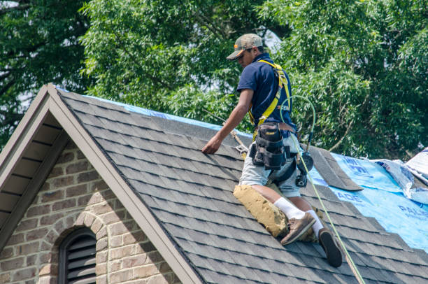 Best Roof Restoration Services  in Bensley, VA